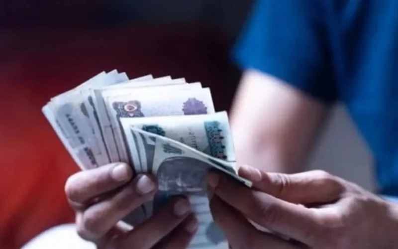 تفاصيل الاشتراك.. برنامج الدعم النقدي 2026 يوضح الخطوات والوثائق المطلوبة